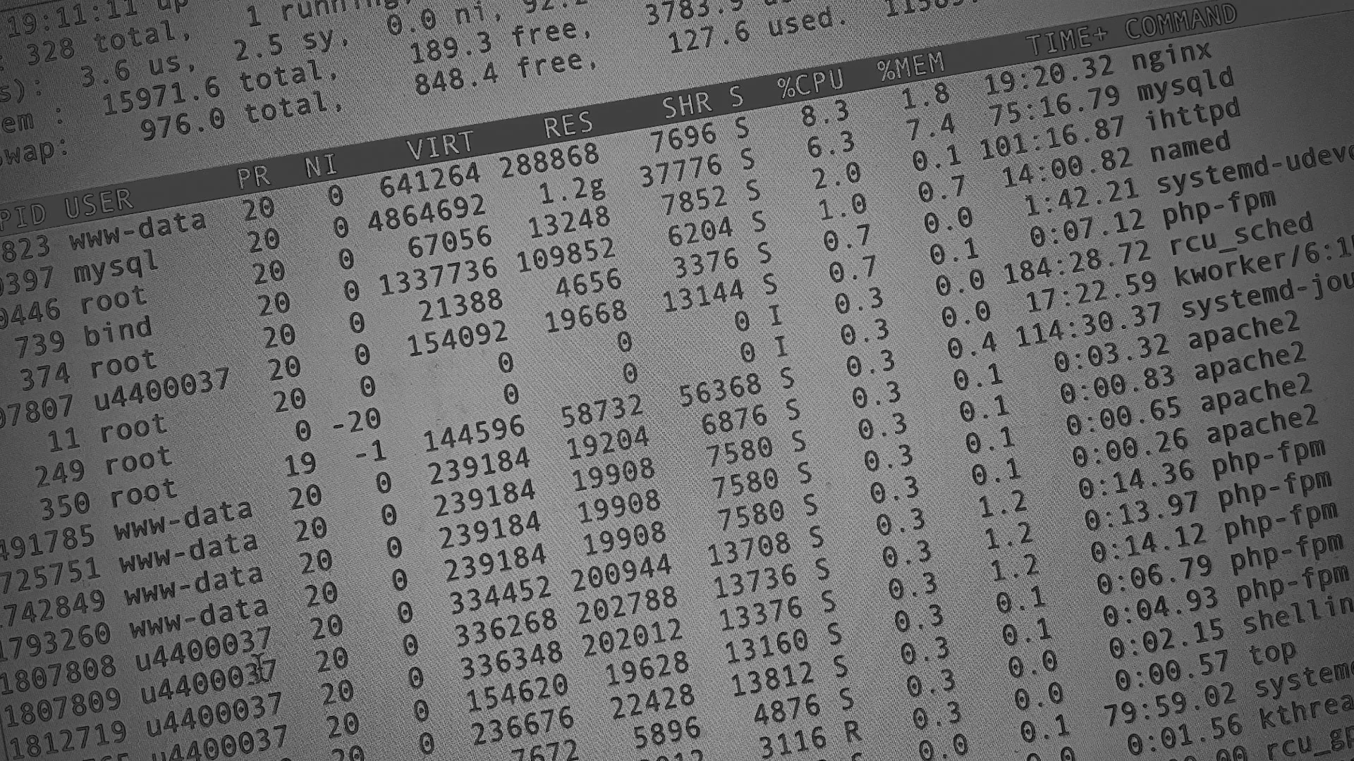 Настройка сервера в Димитровграде Настройка сервера в Димитровграде