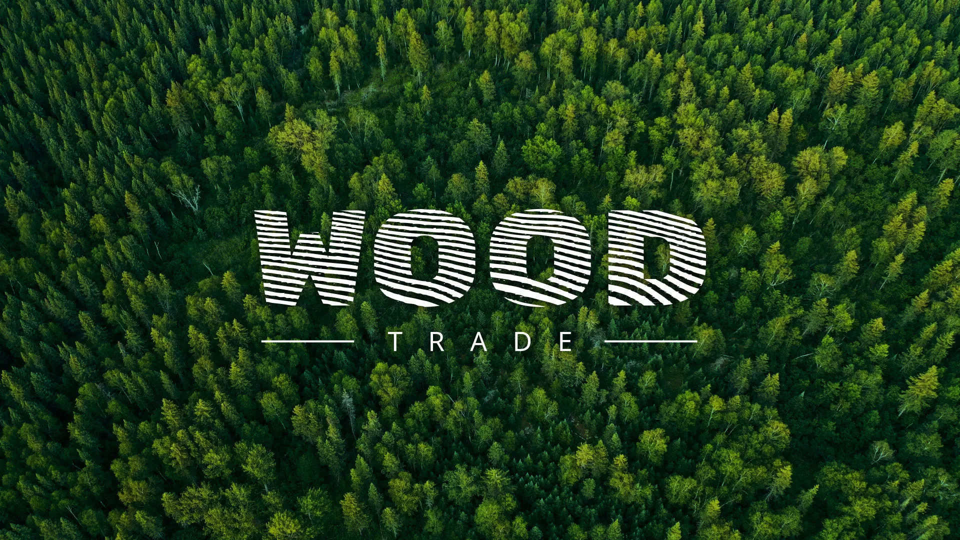 Разработка интернет-магазина компании «Wood Trade» в Димитровграде