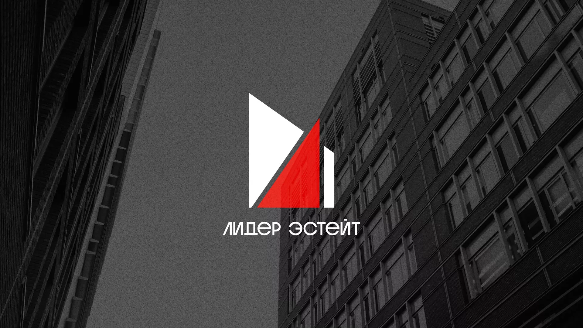 Сделали логотип для агентства недвижимости «Лидер Эстейт» в Димитровграде